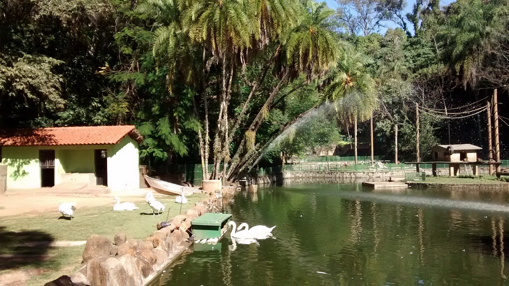 Bosque dos Jequitibás Imagem Willemarcel ipatrimônio