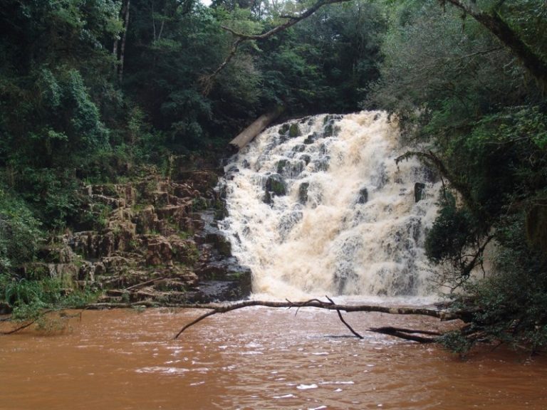 Sarandi Parque Estadual Do Papagaio Char O Imagem Sema Ipatrim Nio